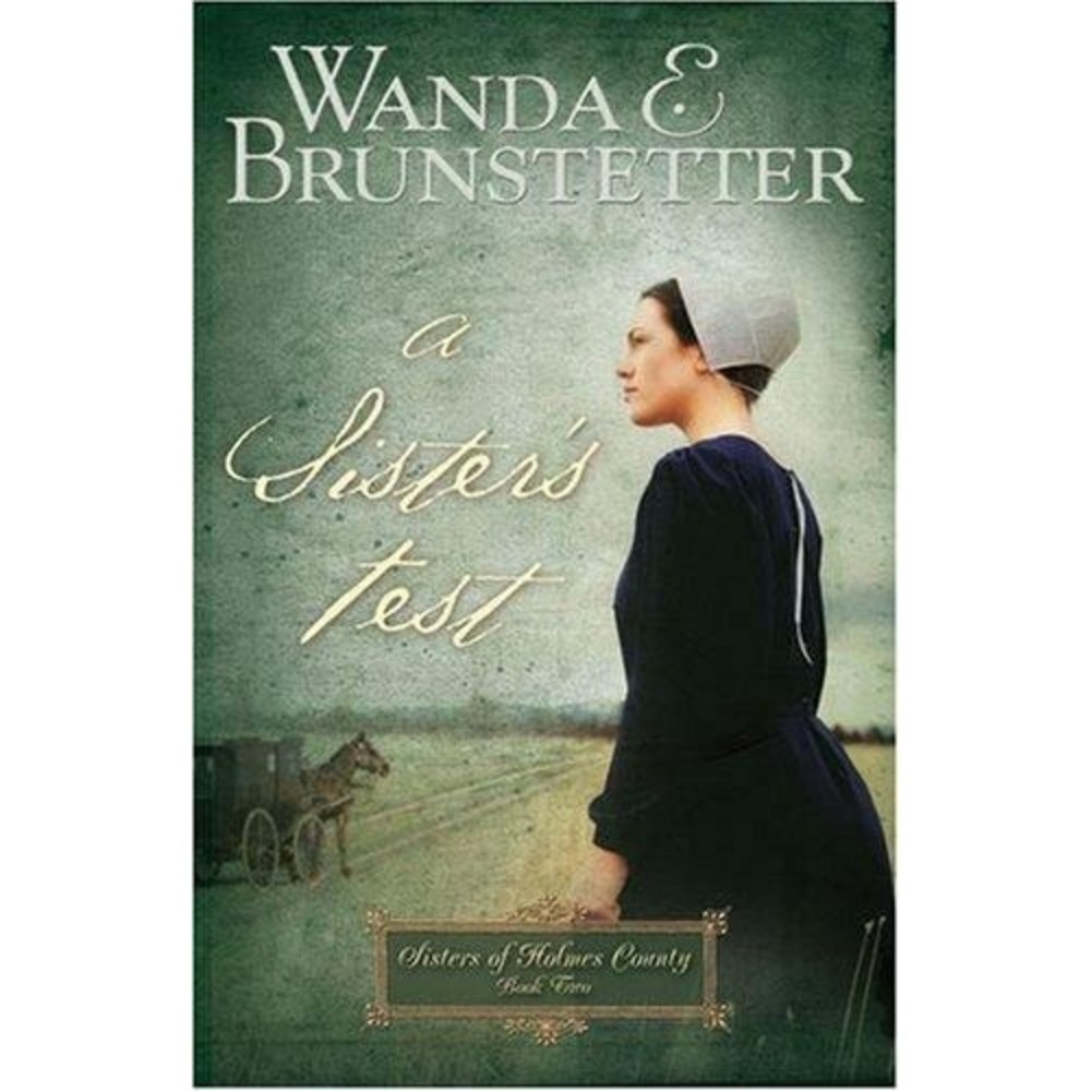 A Sister's Test (Sisters of Holmes County, Book 2)